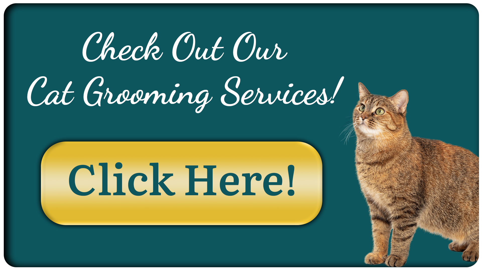 Services – Dogwood Grooming Spa | Serving Knoxville's Dogs & Cats